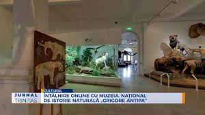 Pretul la un bilet este incepand de la 20 lei. Intalnire Online Cu Muzeul NaÅ£ional De Istorie NaturalÄ Grigore Antipa Youtube