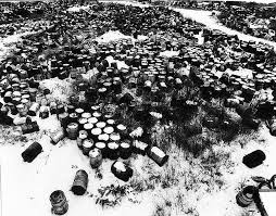 Image result for Beige 1980 Western Waste