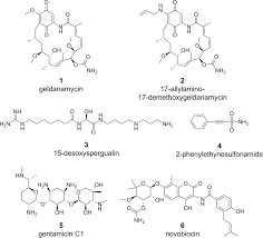 Targeting the Proteostasis Network for Mycobacterial Drug Discovery