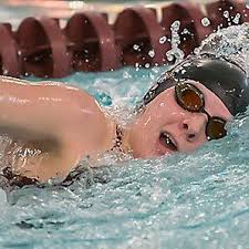 Panthers start fast, get into groove in first home dual