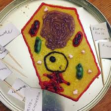 Make edible plant cell models. Plant Cell Cake The Great British Bake Off The Great British Bake Off