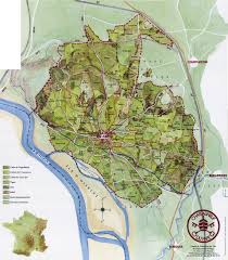 Chateauneuf Du Pape Huge Map Wine Map Wine Region Map Wine Regions France