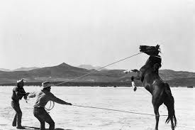 The Misfits | Music Box Theatre