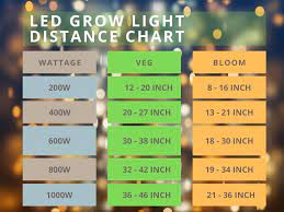 Led lights should be used for indoor gardening because they're energy efficient, easy to install, have a longer lifespan than other lights, and produce less heat. How Far Should My Grow Light Be From My Plants Gardeners Corner