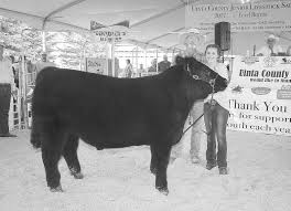Evanston Brewfest a big hit
