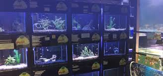 This is a great one stop shop for your pet supply needs! Kamo Pet Aquatic Centre Whangarei
