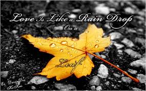 I always wonder about raindrops. Beautiful Rain Drops Wallpapers With Quotes Wallpaper Cave