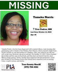 Bildergebnis für TAMEKA NORRIS