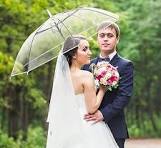 Amazon.com: 60 Pack Clear Wedding Umbrellas Bulk Transparent ...