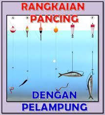 (fast current or with sinkers) ketika kita memancing di arus yang deras, kita memerlukan batu pemberat untuk umpan ikan hidup itu berada di tahap kedalaman yang kita tentukan. Cara Membuat Rangkaian Pancing Menggunakan Pelampung Aliems Journey