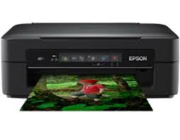 Home support printers single function inkjet printers picturemate series epson picturemate i see the message cannot connect to internet in windows 8.1 after i select driver update in my product printer basics pdf. Epson Xp 255 A4 Inkjet Wireless Multifunctional Printer Black For Sale Online Ebay