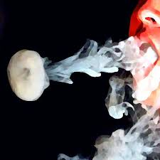 To perform it, you'll first need to be able to blow smoke rings. Vape Culture Episode 1 Tricks Power Vaping