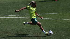 Zagueiro luan, lesionado, é a nova baixa do técnico abel ferreira. Qnb 0jbcycxoem