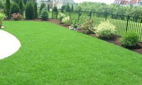 Essential landscapes provides high quality and dependable landscaping to hundreds of customers finally, a landscaping company you can trust! Landscapes By Aurelindo Our Services