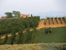 La visione che ci appare della regione è quella di vigneti destinati alla produzione di grandi quantità con uve per prodotti spesso di modesto contenuto alcolico. Ultimate Guide To The Emilia Romagna Wine Region Howstuffworks