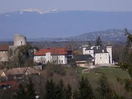 Cite Medievale De La Roche Sur Foron Haute Savoie Achat Savoie