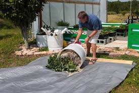 Aquaponics Sweet Potatoes Update Steamy Kitchen Recipes Giveaways