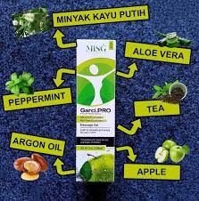 Gelam atau kayu putih (melaleuca leucadendra syn. Garci Pro Khasiat Kayu Putih