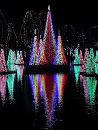 Columbus Zoo And Aquarium Delaware County Ohio By Throwingsofas Columbus Zoo Zoo Lights Columbus Ohio Zoo