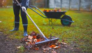 Im november verlieren die meisten bäume und sträucher ihre blätter und die ersten fröste künden wer viele bäume und sträucher im garten hat, sollte nun zum laubrechen greifen, denn nicht überall. Garten Im November