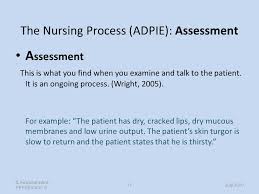 the nursing process care planning michele archdale ppt