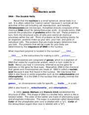 Try the problems in worksheet 2. Questions 1 Why Is The Nucleus Called The Control Center Of The Cell 2 What Is Course Hero
