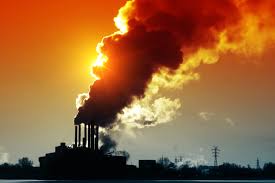 Image result for global warming photos