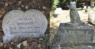 Depending on the regulations in your area you can hold a simple backyard ceremony or you can engage the services of a pet funeral home and a pet cemetery. Pet Cemeteries Reveal Evolution Of Humans Relationships With Furry Friends Smart News Smithsonian Magazine