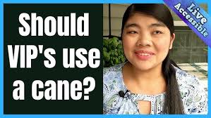 Where The Blind Work: Government Professionals