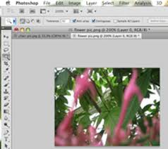 Today we will give you all the information. Adobe Photoshop Cs5 Magic Wand Tool Digital Composition Diy