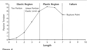 PDF] Increasing Muscle Extensibility: A Matter of Increasing Length or  Modifying Sensation?