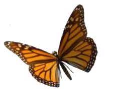 Pin On Png