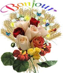 Https Encrypted Tbn0 Gstatic Com Images Q Tbn 3aand9gct Pniyyu2tgaydn3ykaqlv0snd3vntrizbzg Usqp Cau