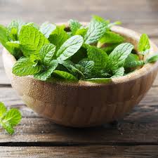 What S The Difference Between Peppermint And Spearmint Peppermint Leaves Herbs Mint Simple Syrup