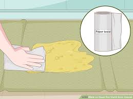 how to clean dog vomit out of carpet