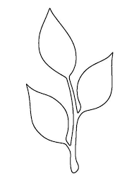 Pin On Paper Flowers