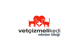 Vet Cizmeli Kedi Cekmekoy Hemen Randevu Alin