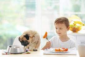 Can Dogs Eat Sweet Potatoes Are Sweet Potatoes Good For Dogs