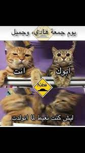 هههههههههههههههههههههههههههههههههههههههههههههههههههههههههههههههههههههههههههههههههههههههههههه Funny Qoutes Memes Funny Faces Cute Memes