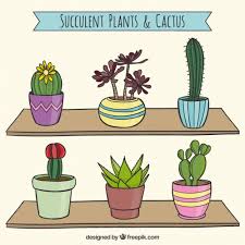 Aquí os dejamos algunas ideas para decorar con cactus y suculentas y crear espacios verdes en casa. Coleccion Suculenta De Cactus Vector Gratis