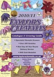 New luiza™ evipo068 new pot size: Catalogue Amp Growing Guide Taylors Clematis
