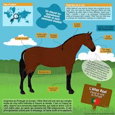 L Alter Real Un Cheval Immensement Solide Et Puissamment Modele Au Coeur Des Chevaux Cheval Races De Chevaux Galop 3