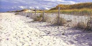 We did not find results for: Pilgrim Lake Sand Dunes In Truro Massachusetts Kid Friendly Attractions Trekaroo