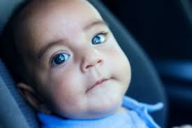 Ivan Harris Hernandez