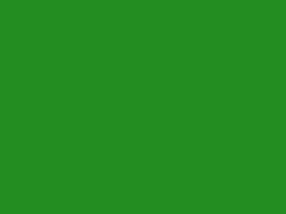 You can also upload and share your favorite forest green backgrounds. Forest Green 228b22 Plain Background Image