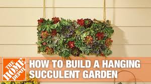Check spelling or type a new query. How To Build A Vertical Hanging Succulent Garden Youtube