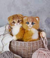 596 otmetok nravitsya 51 kommentariev elena karagodina felting teddy helen woolenlife v instagram dumayu ch vyazannye vojlochnye zhivotnye kot zhivotnye