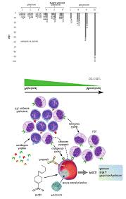 Cytolysis - An Overview | Sciencedirect Topics