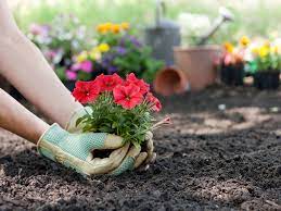 Garden flowers that last all year. How To Have Flowers Blooming All Year Round Stockslagers Greenhouse Garden Center