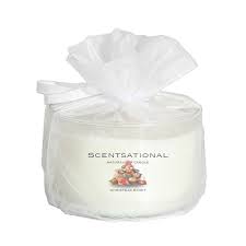 Christmas Spirit 2 Wick Candle Scentsational Soaps Candles